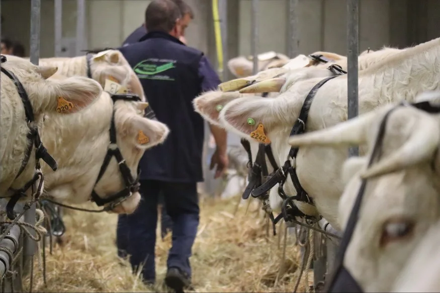 Les concours agricoles de Montluçon vont retrouver le parc des expositions à partir de 2027
